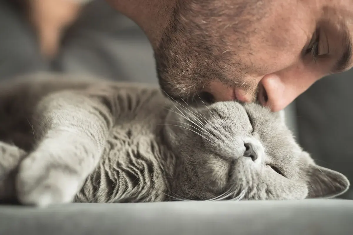 Come un animale domestico può migliorare la vostra salute