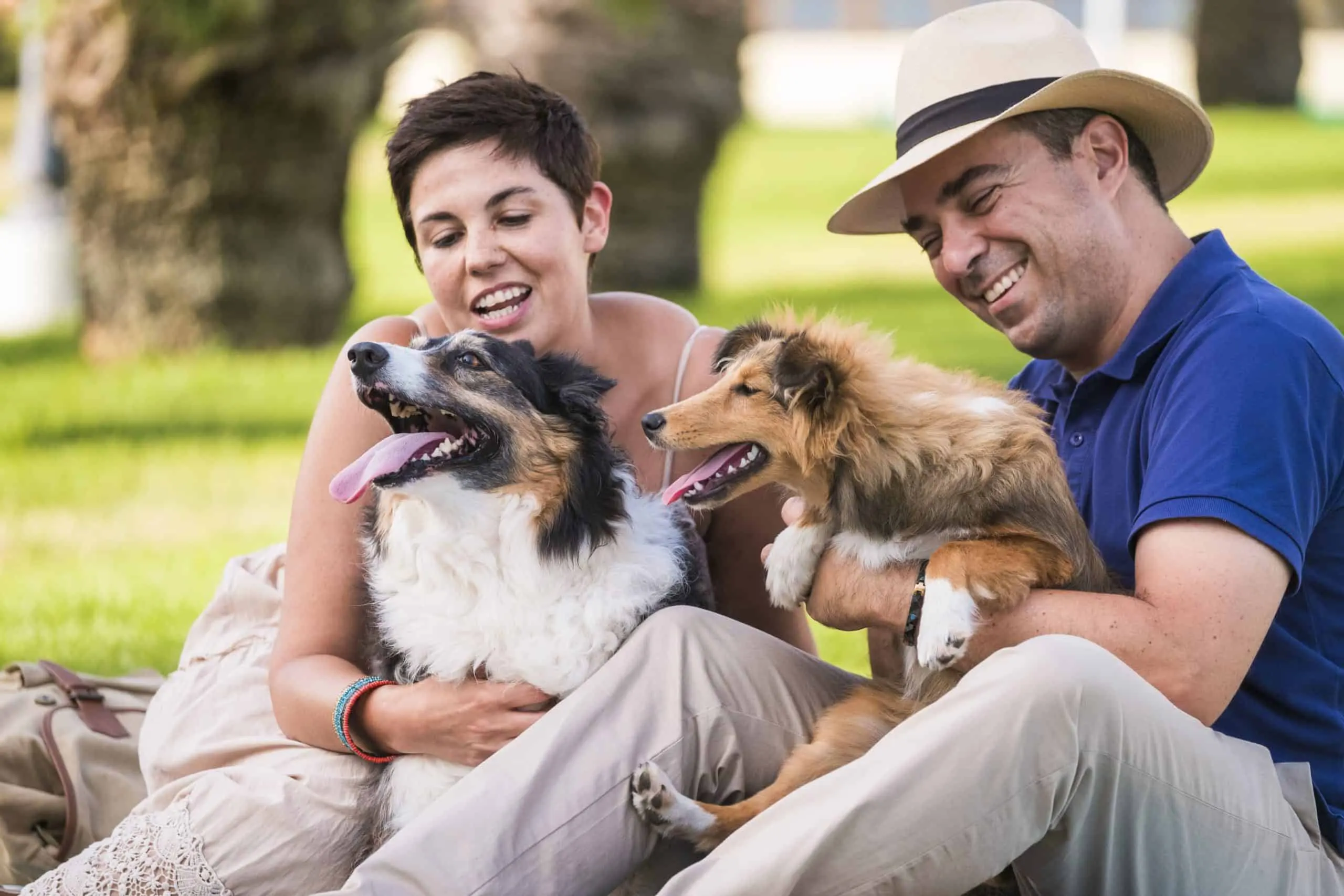 Come un animale domestico può migliorare la vostra salute