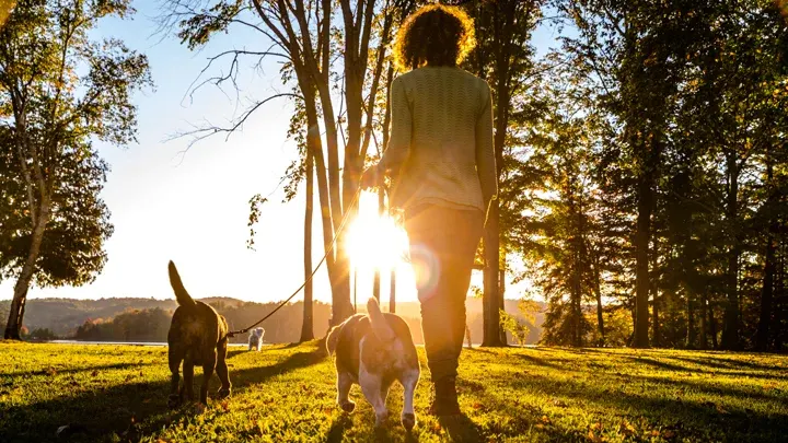 Come un animale domestico può migliorare la vostra salute