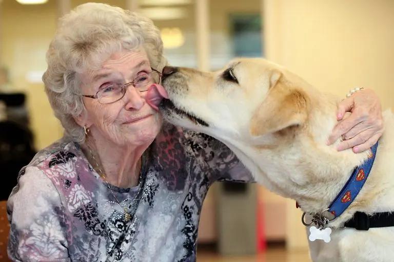 Come un animale domestico può migliorare la vostra salute