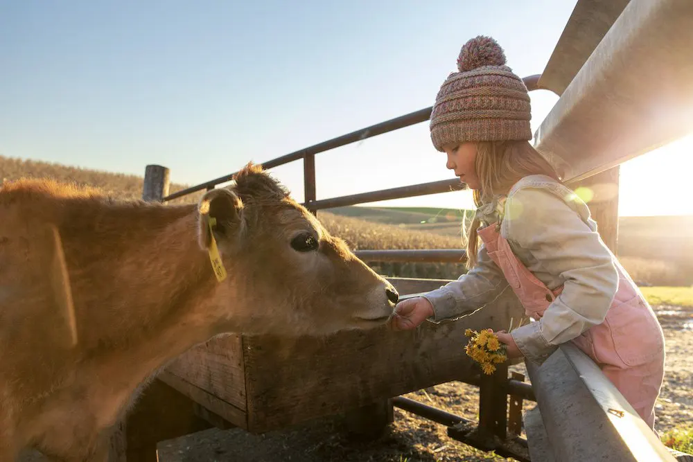 Come un animale domestico può migliorare la vostra salute