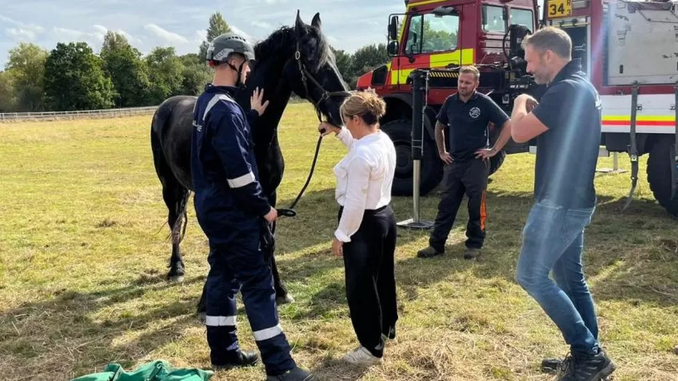 Essex, Inghilterra: vigili del fuoco soccorrono un cavallo anziano in difficoltà