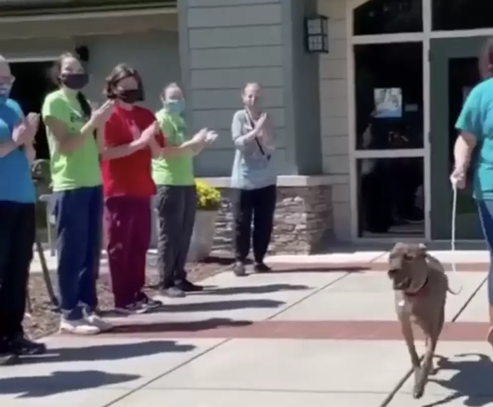 Il residente più longevo del rifugio riceve una standing ovation quando finalmente trova una casa